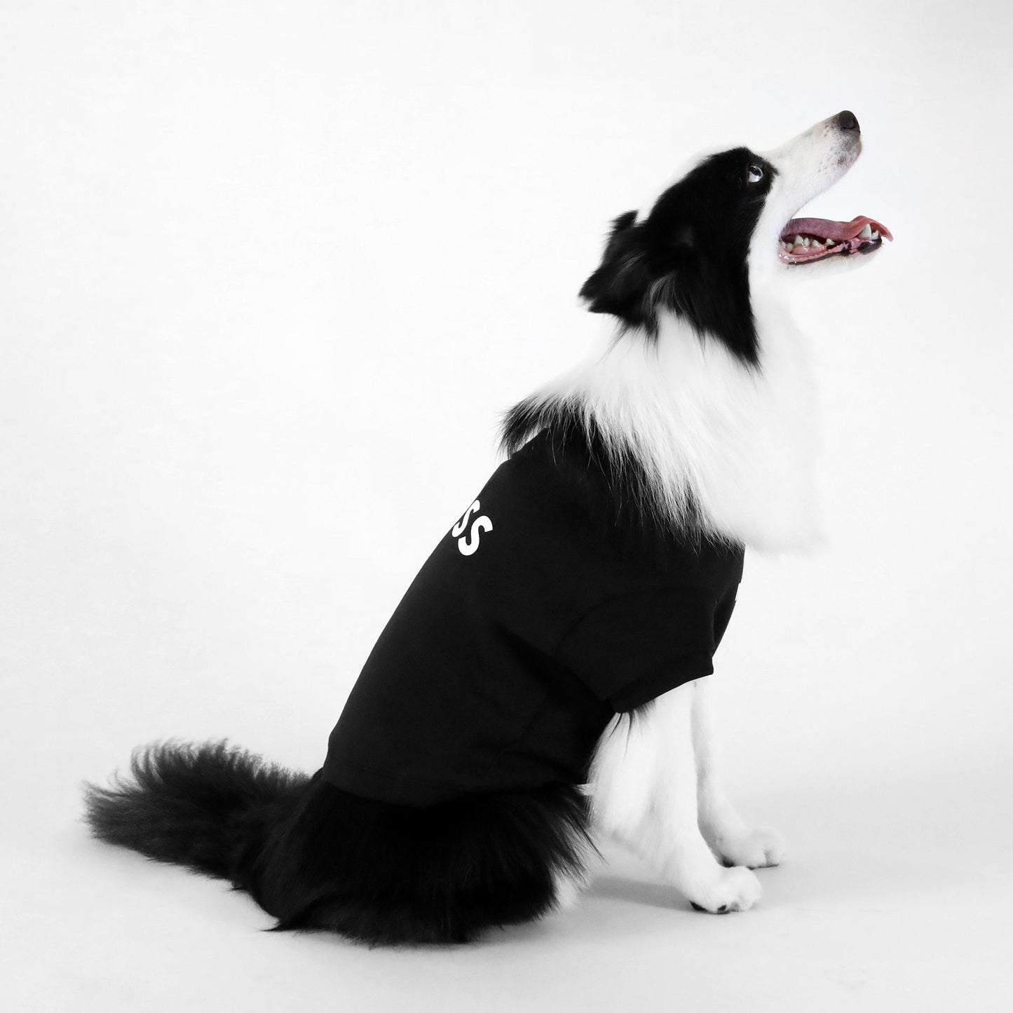 Dog Essentials Short Sleeve Crewneck