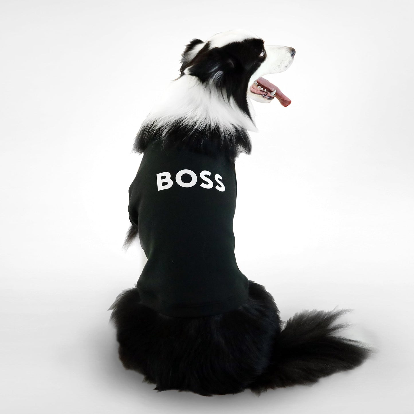 Dog Essentials Short Sleeve Crewneck
