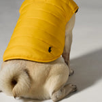 Polo Ralph Lauren Dog-Reversible Spring Puffer Jacket