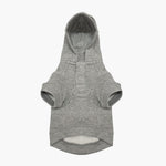 Polo Ralph Lauren Dog Polo Bear Hoodie