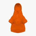 Polo Ralph Lauren Dog Polo Bear Hoodie