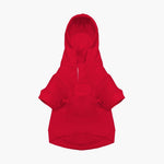 Polo Ralph Lauren Dog Polo Bear Hoodie