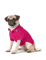 Polo Ralph Lauren Cotton-Mesh Dog Polo Shirt (Fashion)