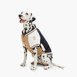 Dog Varsity Bomber