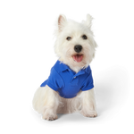 Polo Ralph Lauren Dogs-Polo Bear Shirt