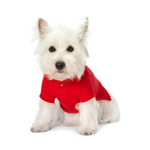 Polo Ralph Lauren Dogs-Polo Bear Shirt