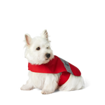 Polo Ralph Lauren Cotton-Canvas Dog Raincoat
