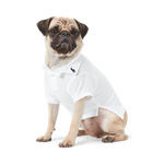 Polo Ralph Lauren Cotton-Mesh Dog Polo Shirt