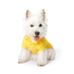 Polo Ralph Lauren Dogs-Polo Bear Shirt